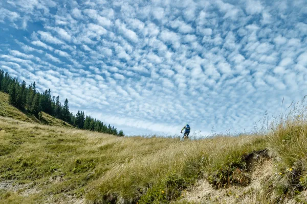 Terrains