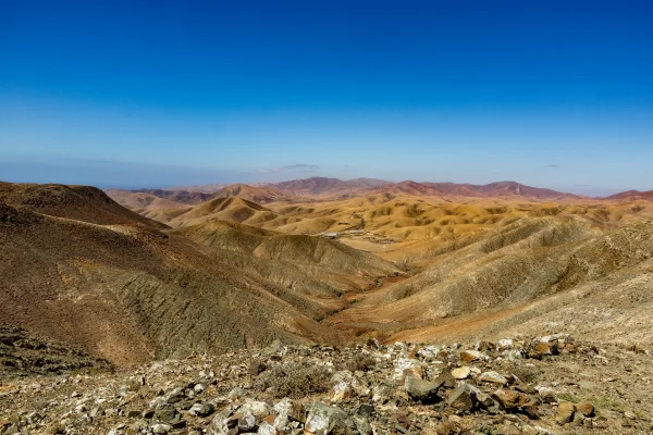 Terrains